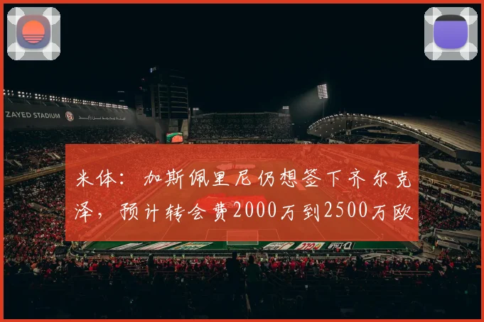 米体：加斯佩里尼仍想签下齐尔克泽，预计转会费2000万到2500万欧